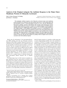 Analysis of the Original Antigenic Sin Antibody Response to the