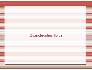 Biomolecules: lipids - e
