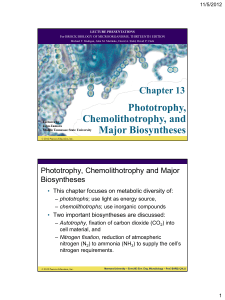 Phototrophy, Chemolithotrophy, and Major Biosyntheses Chapter 13