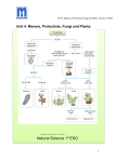 Unit 4. Monera, Protoctists, Fungi and Plants.