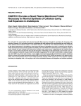 KOBITO1 Encodes a Novel Plasma Membrane Protein Necessary