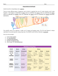 Characteristics of Life Notes Packet