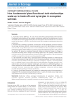 How fundamental plant functional trait relationships scale