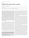 Trypanosome TOR complex 2 functions in cytokinesis