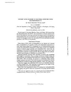 NUCLEIC ACID ECONOMY IN BACTERIA INFECTED WITH