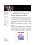 A mathematical model on the two phase coronary blood flow