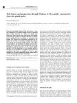 Polo kinase and progression through M phase in Drosophila