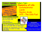 Chemistry of Life Carbohydrates Lipids Nucleic Acids ATP – The