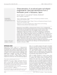 Characterization of uncultured giant rod-shaped