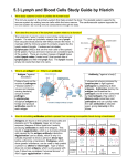 5.3 Lymph and Blood Cells Study Guide by Hisrich