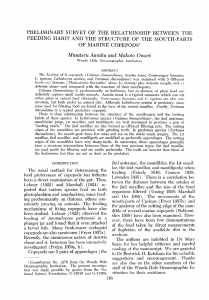 preliminary survey of the relationship between the feeding habit and