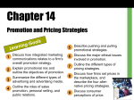 Promotion and Pricing Strategies