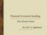 Pastoral Livestock Herding - Society For Range Management