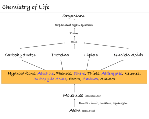 Chemistry of Life