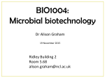 BIO1004 Microbial biotech 2015 for online taster course cut down