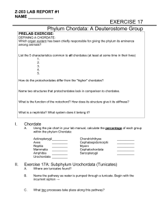 EXERCISE 17 Phylum Chordata: A Deuterostome Group