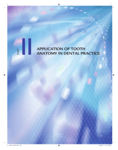 part iiapplication of tooth anatomy in dental practice