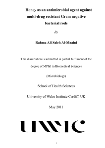 Honey as an antimicrobial agent against multi