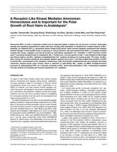 A Receptor-Like Kinase Mediates Ammonium