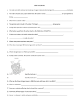 DNA Study Guide 1. The sides of a DNA molecule are made up of