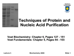 Techniques of Protein and Nucleic Acid Purification
