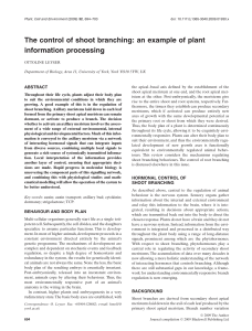 The control of shoot branching: an example of plant information