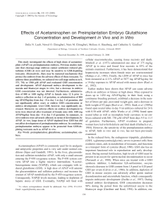 Effects of Acetaminophen on Preimplantation Embryo Glutathione