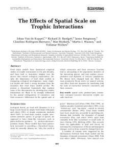 The Effects of Spatial Scale on Trophic Interactions