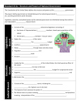 Legislative Branch Executive Branch Judicial Branch