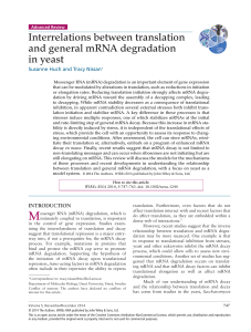 Interrelations between translation and general mRNA degradation in