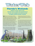 Florida`s Wetlands - Southwest Florida Water Management District