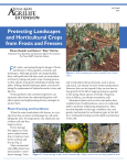 Protecting Landscapes and Horticultural Crops from Frosts