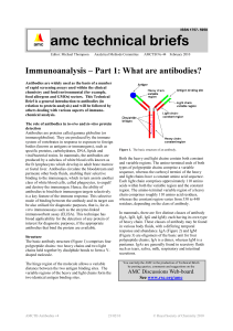 Immunoanalysis - Part 1 : What are antibodies?
