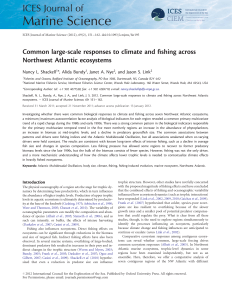 Common large-scale responses to climate and fishing across