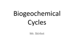 Biogeochemical Cycles