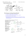 Why Glycogen as an Energy Storage Molecule?