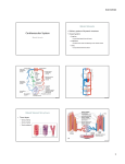 Cardiovascular System Blood Vessels Blood Vessel Structure