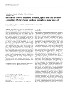 Interactions between extrafloral nectaries, aphids and ants: are there