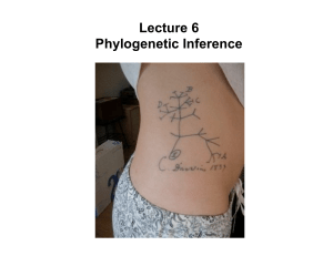 Lecture 6 Phylogenetic Inference