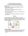 MOTOR FUNCTIONS OF SPINAL CORD REFLEX ARC AND