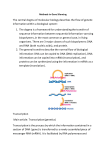 The central dogma of molecular biology describes the flow of