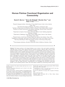 Human Pulvinar Functional Organization and Connectivity