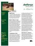 Anthrax - Alberta Environment and Parks