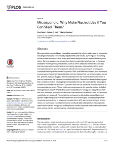 Microsporidia: Why Make Nucleotides if You Can Steal Them?