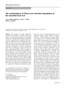 The carbohydrates ofPhaeocystisand their degradation in the