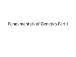 Fundamentals of Genetics Part I