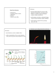 Bio3460-22 Hormones