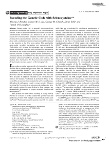 Recoding the Genetic Code with Selenocysteine