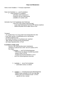 Fatty Acid Metabolism - University of San Diego Home Pages