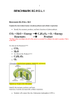 BENCHMARK SC.912.L.1 CO2 + H2O + Energy =→ C6H12O6 + O2